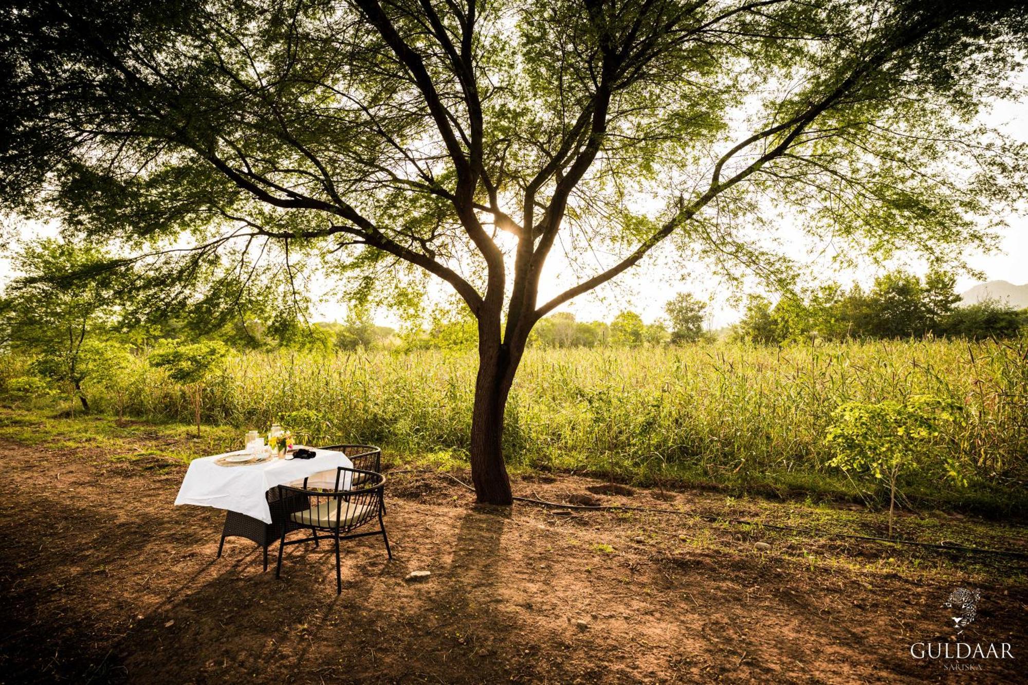 Guldaar Sariska - A Luxury Forest Resort Tehla Luaran gambar