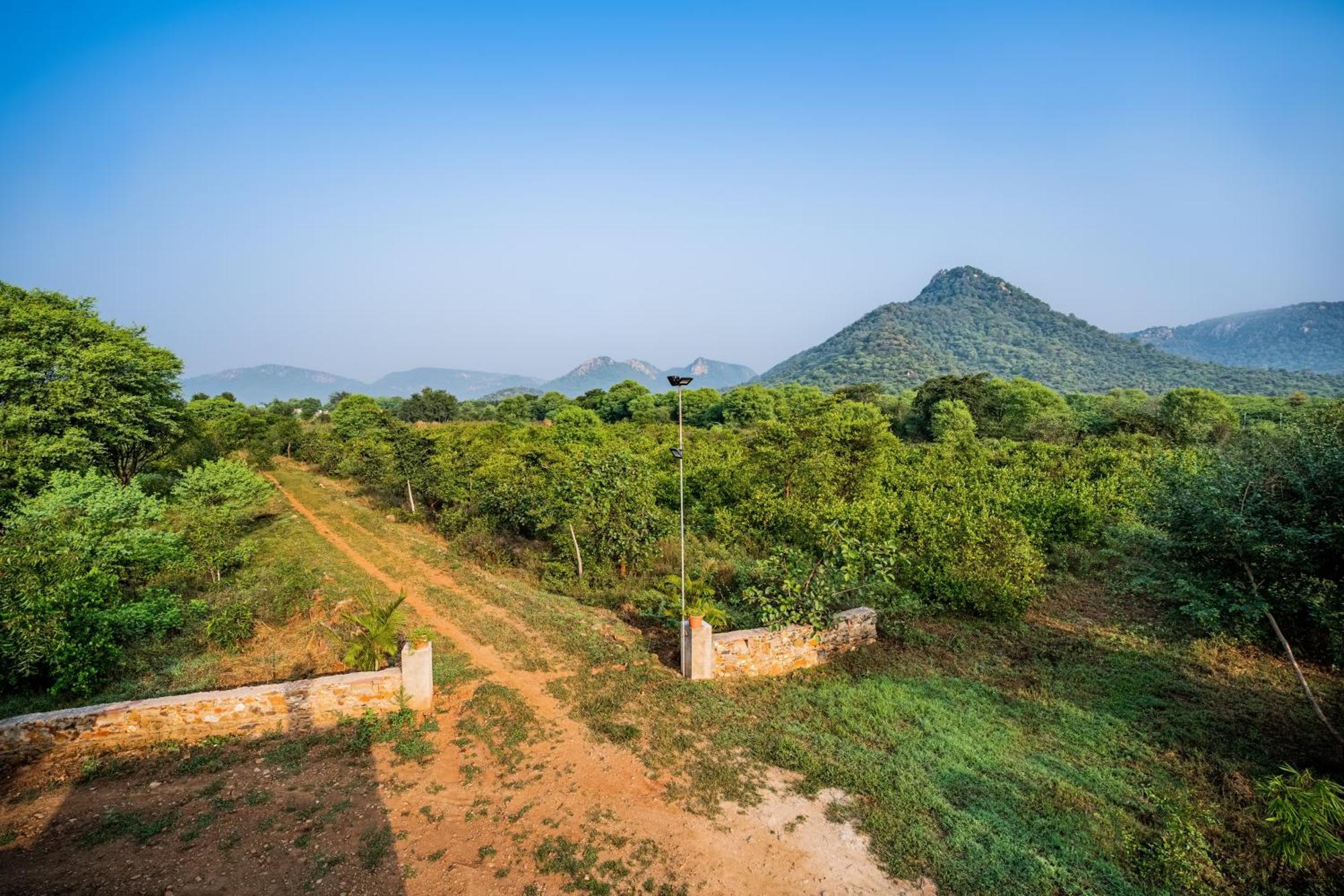 Guldaar Sariska - A Luxury Forest Resort Tehla Luaran gambar