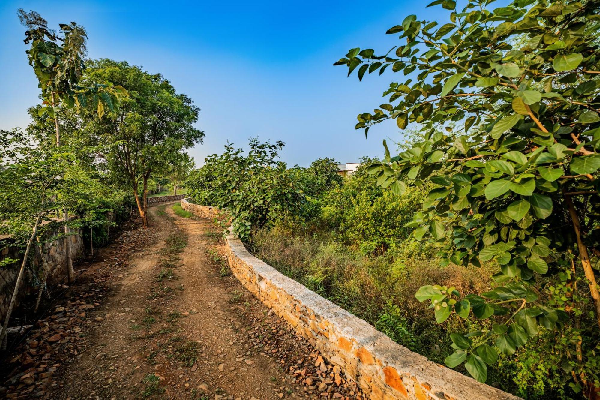 Guldaar Sariska - A Luxury Forest Resort Tehla Luaran gambar